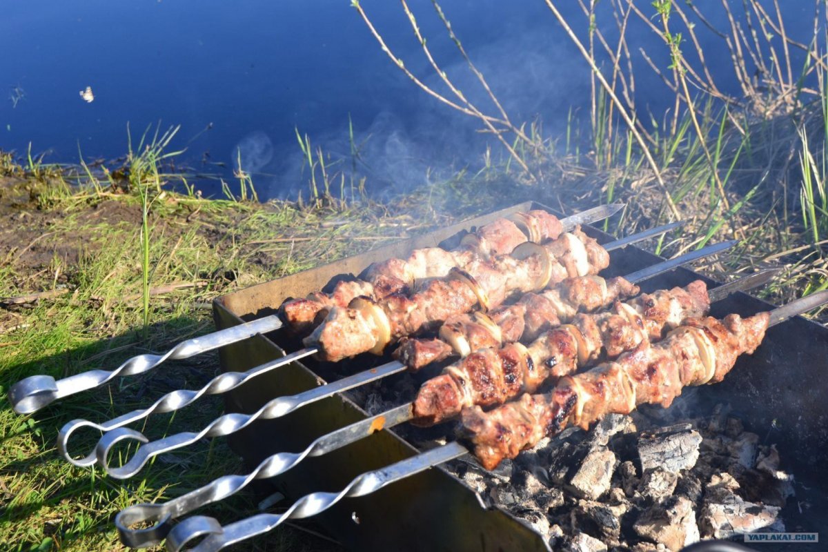 Шашлыки на речке