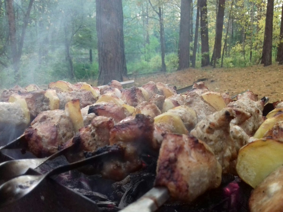 Шашлык в лесу летом