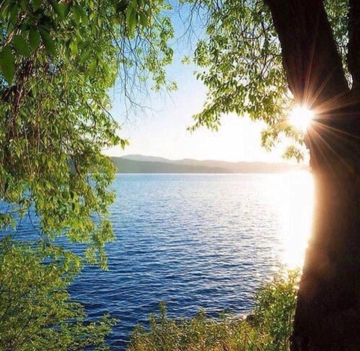 Берег озера