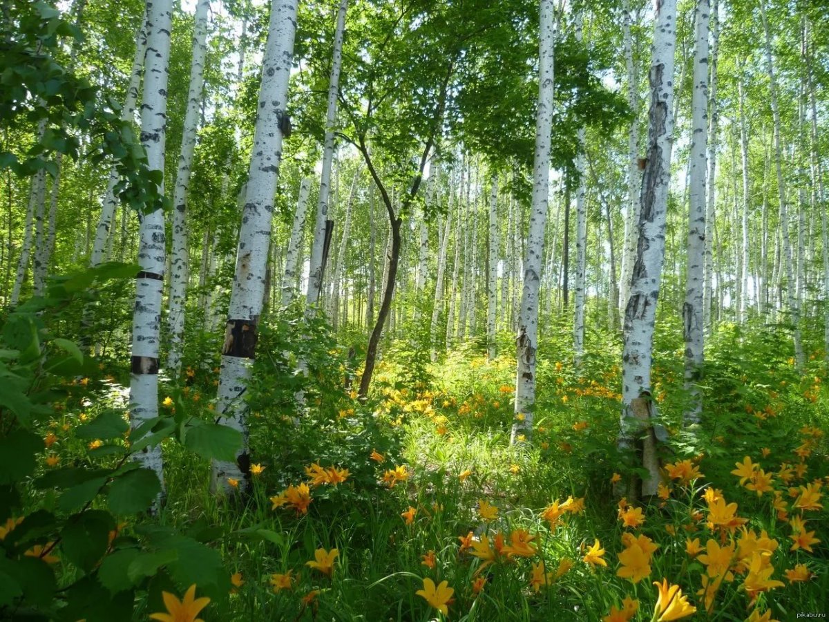 Красивая природа России