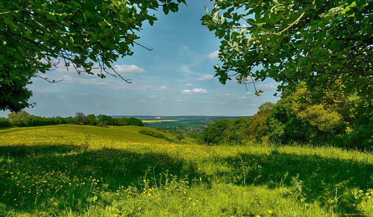 Природа луг