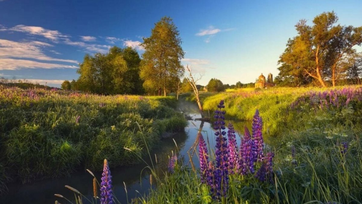 Красота русской природы