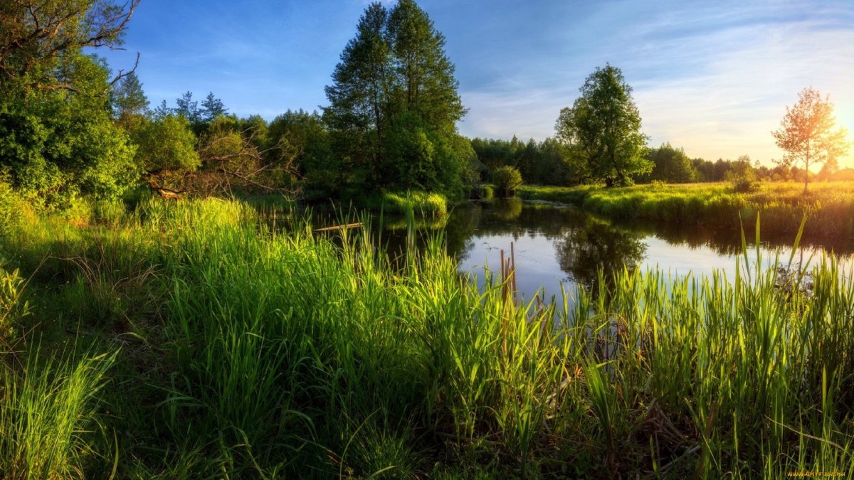 Пейзаж с рекой