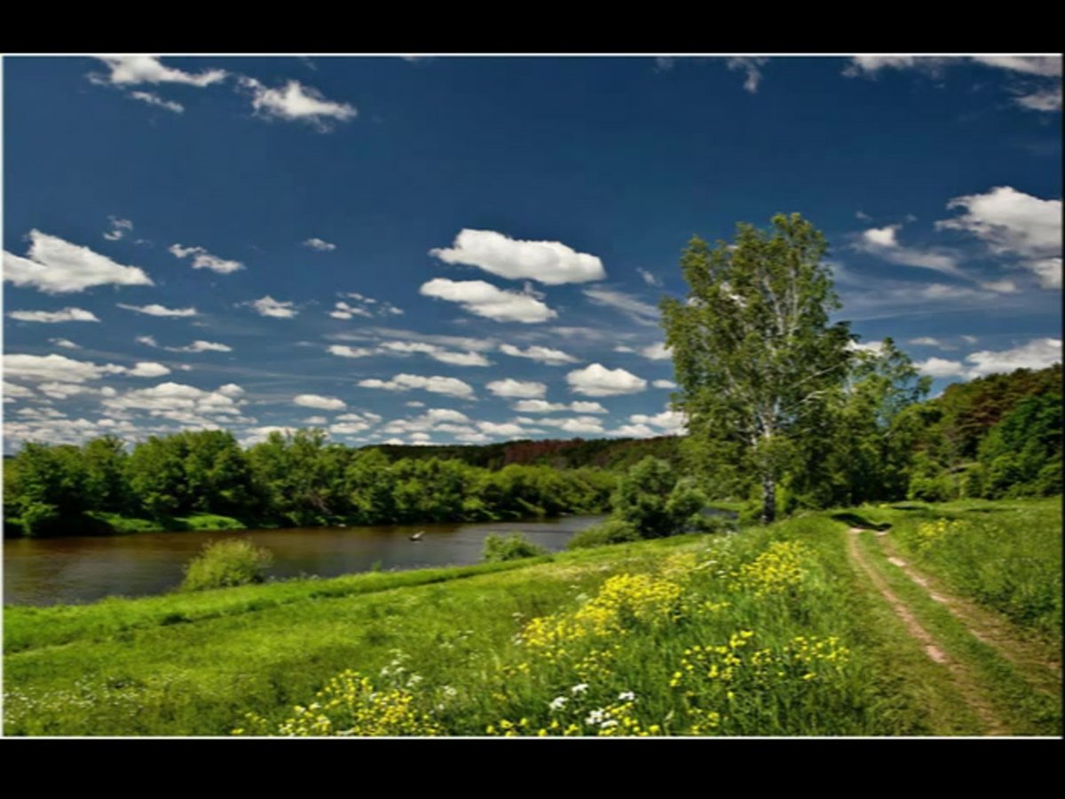 Живописная природа средней полосы России