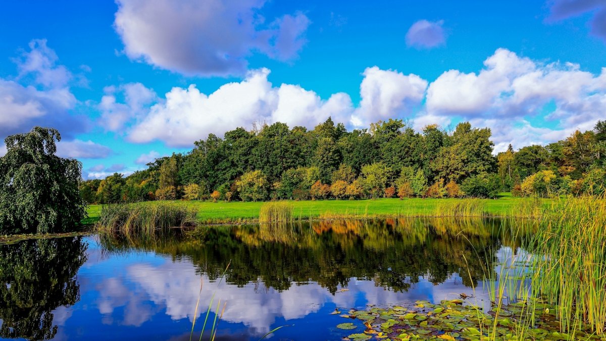 Природа речка