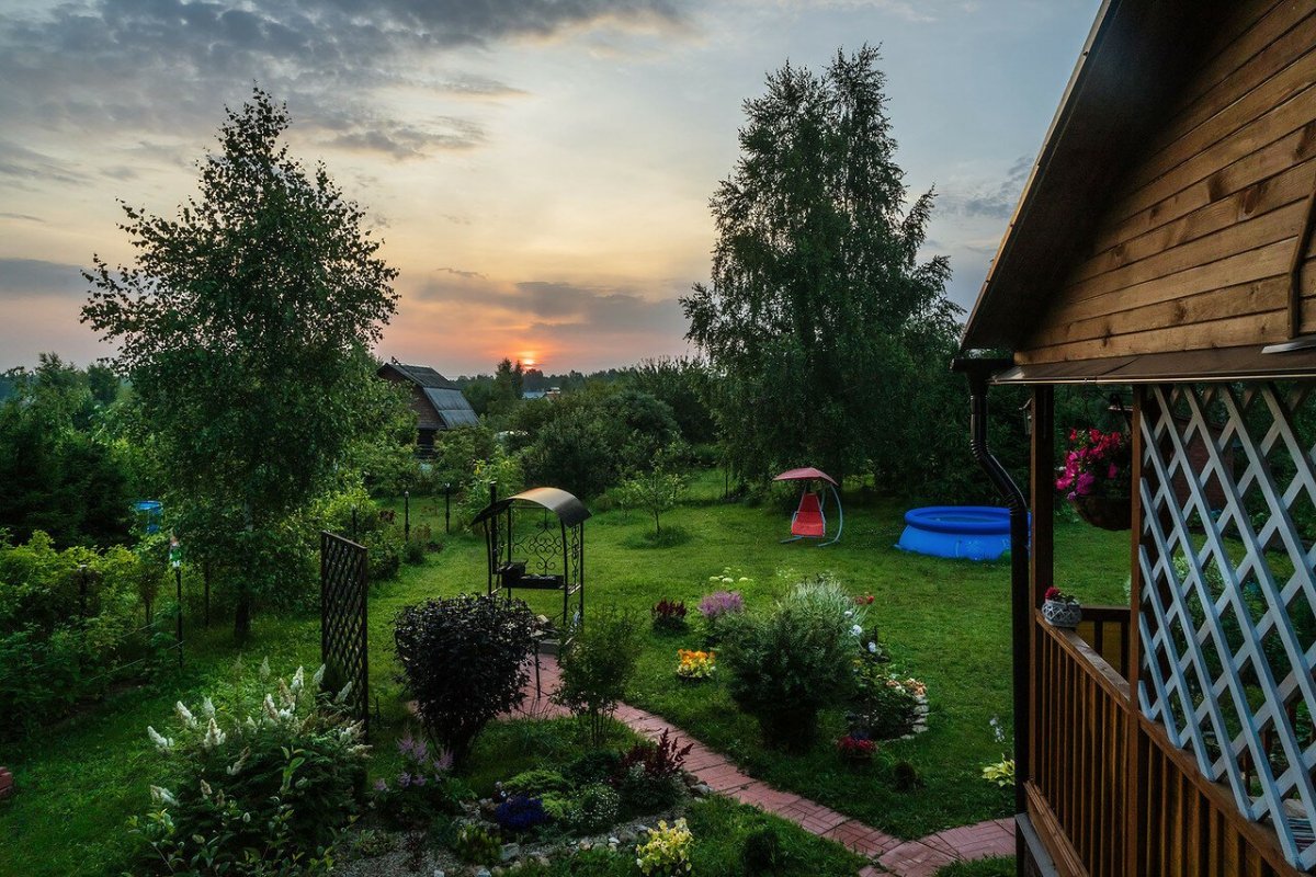 Дачная природа