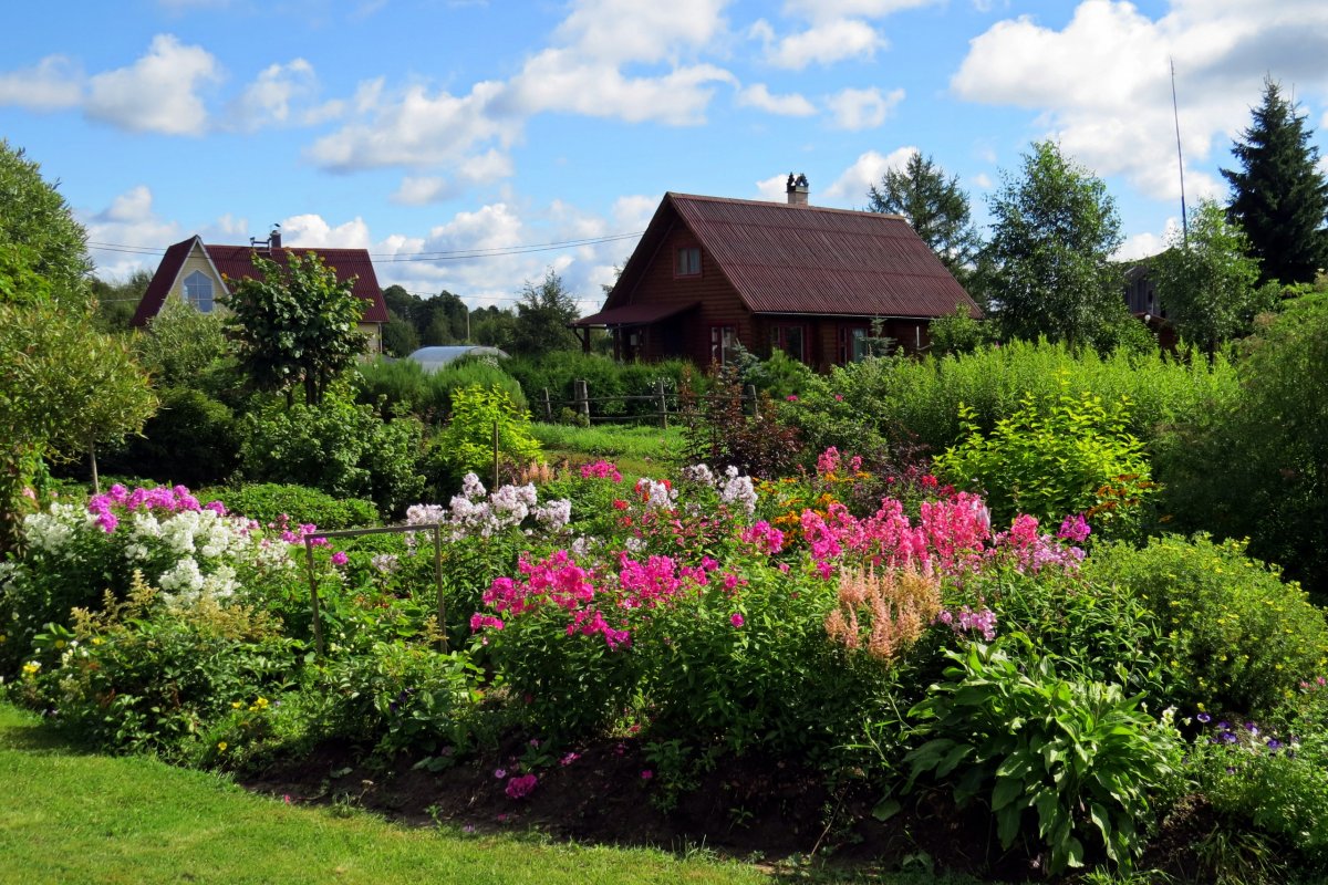 Летняя дача