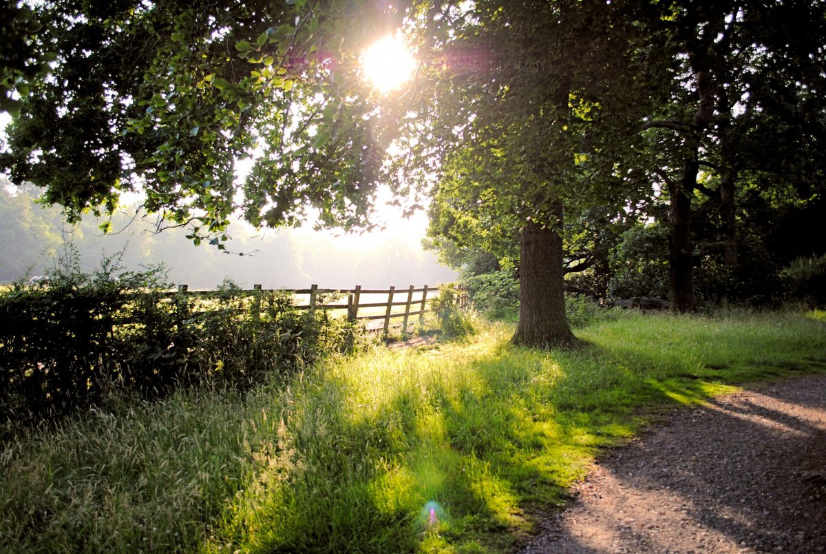 Картинки на рабочий стол