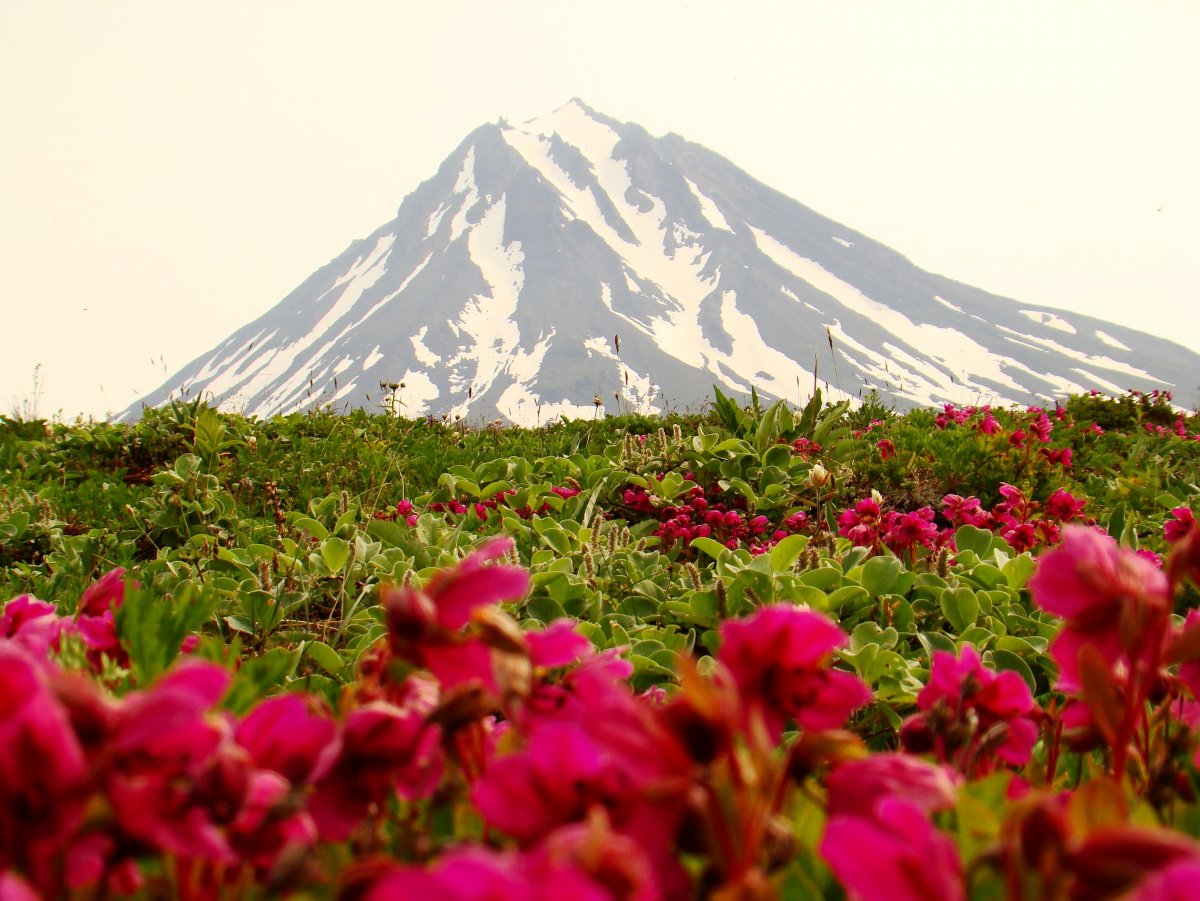 Вулканы Камчатки Дальний Восток