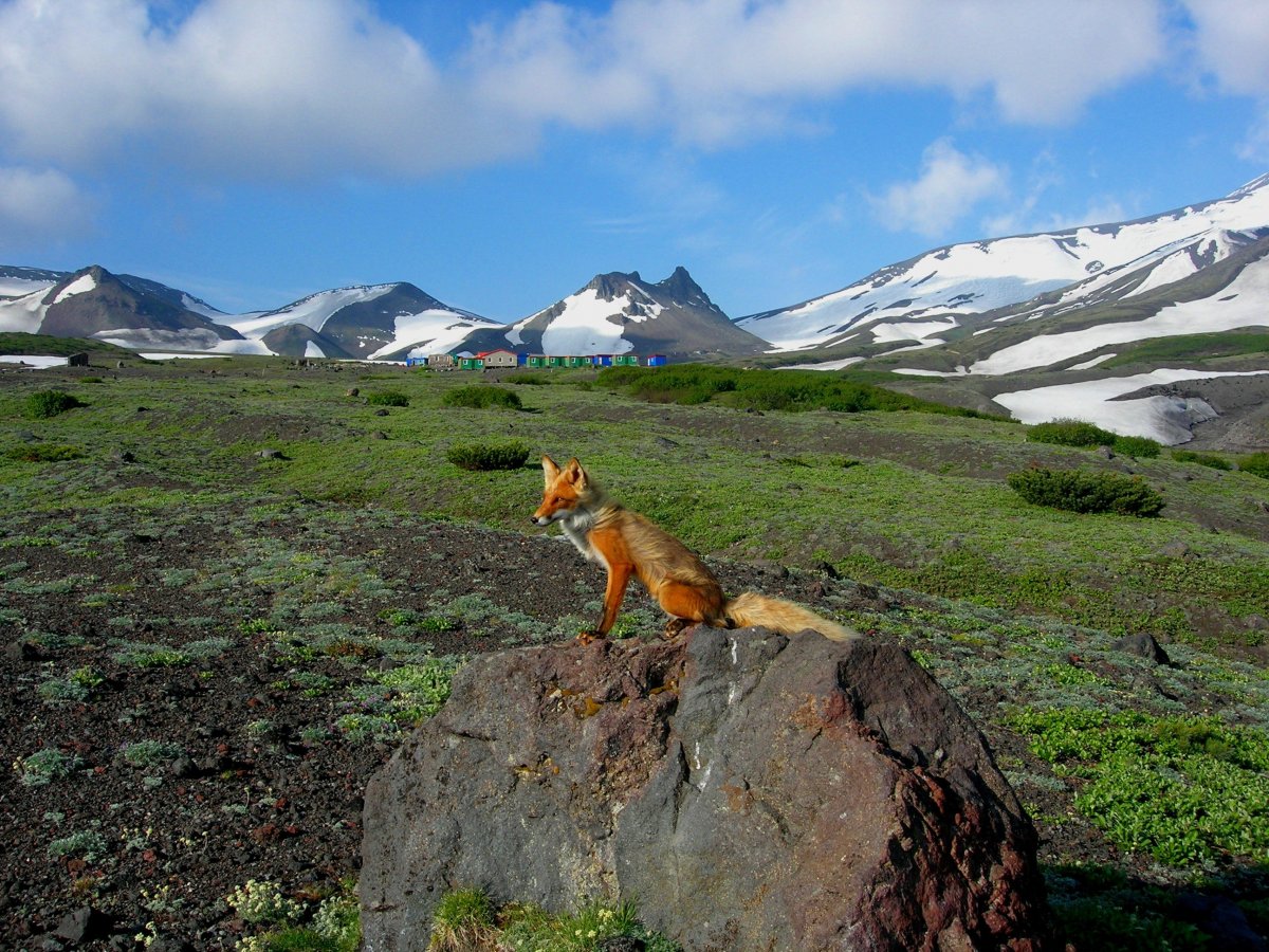 Петропавловск-Камчатский природа