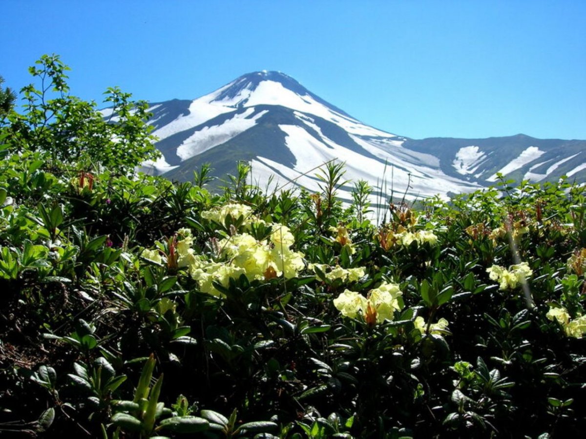 Полуостров Камчатка Петропавловск-Камчатский