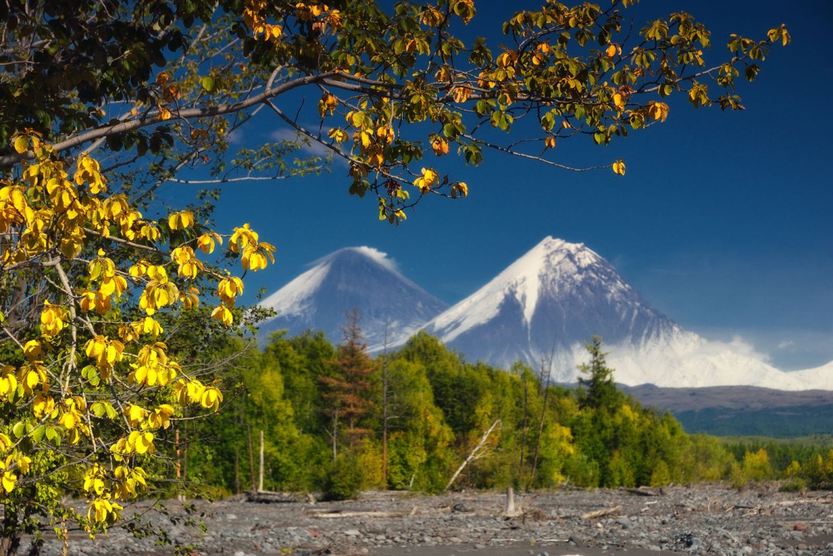 Петропавловск-Камчатский лес