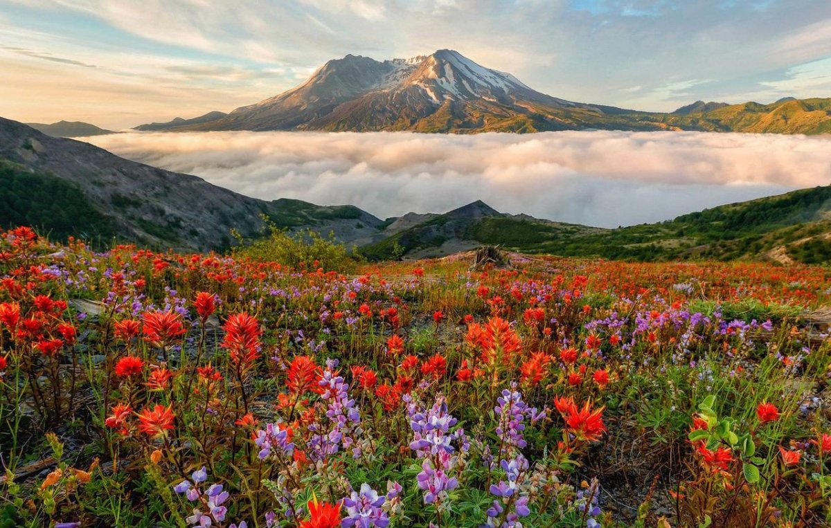 Камчатка летом