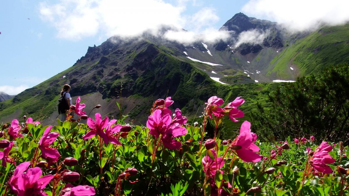Массив Вачкажец Камчатка