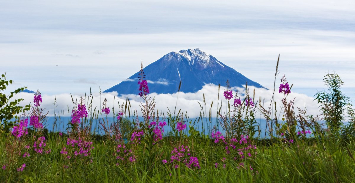 Весна на Камчатке