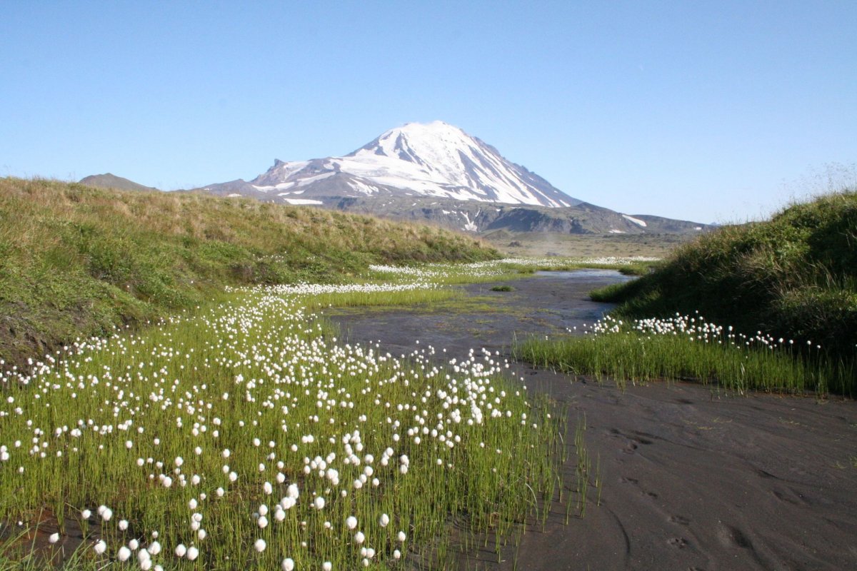 Природа полуострова Петропавловск Камчатский