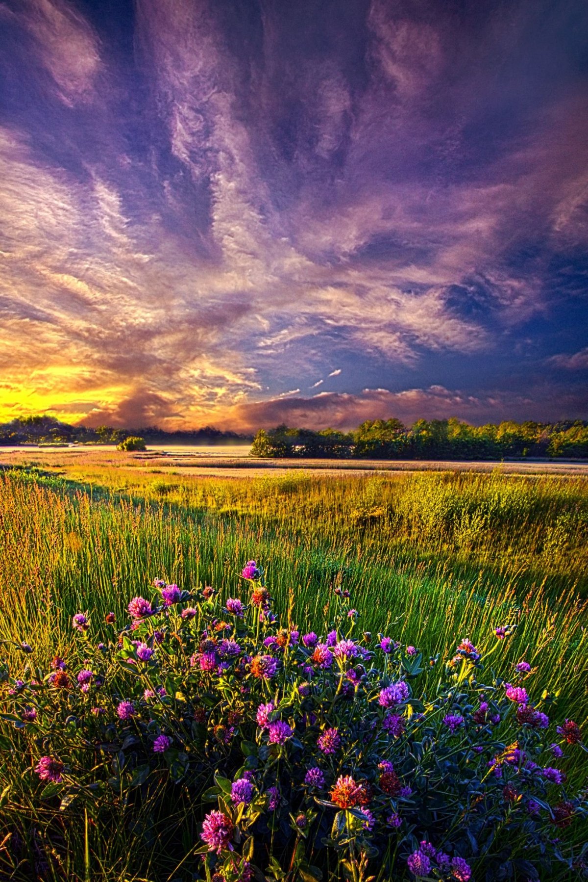 Летний пейзаж