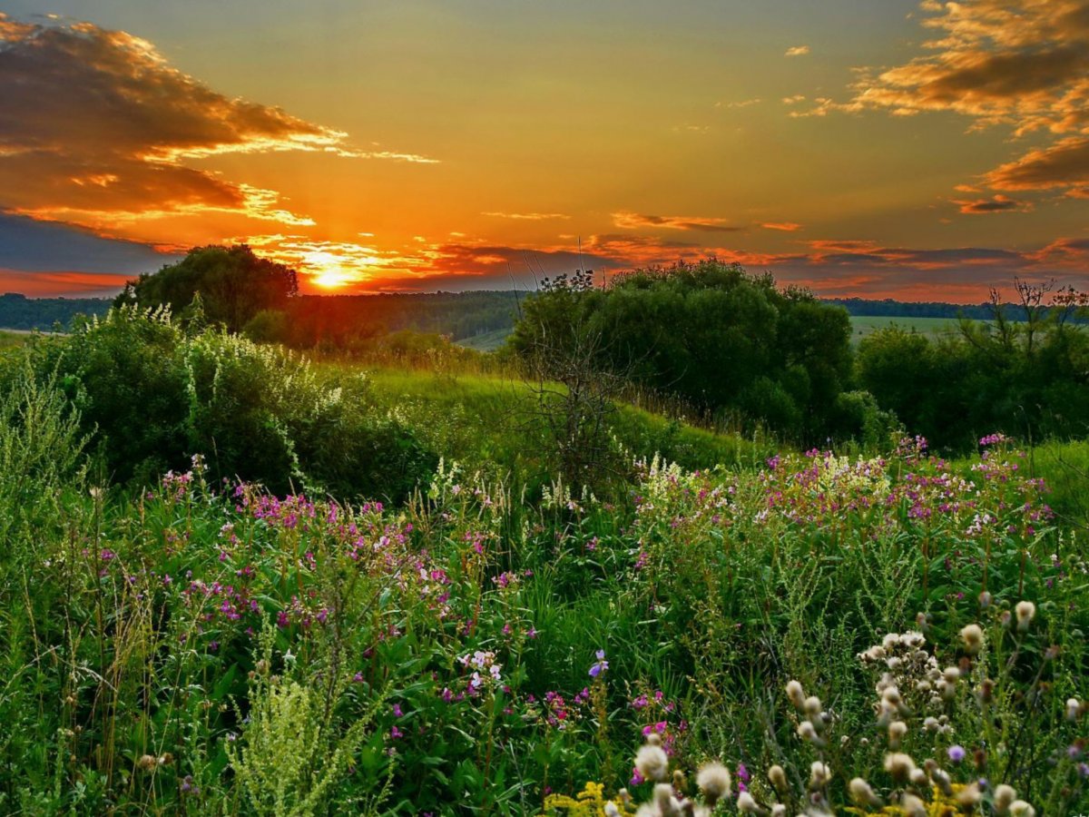 Рассвет летом