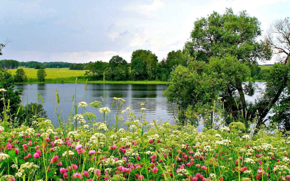 Красота природы лето