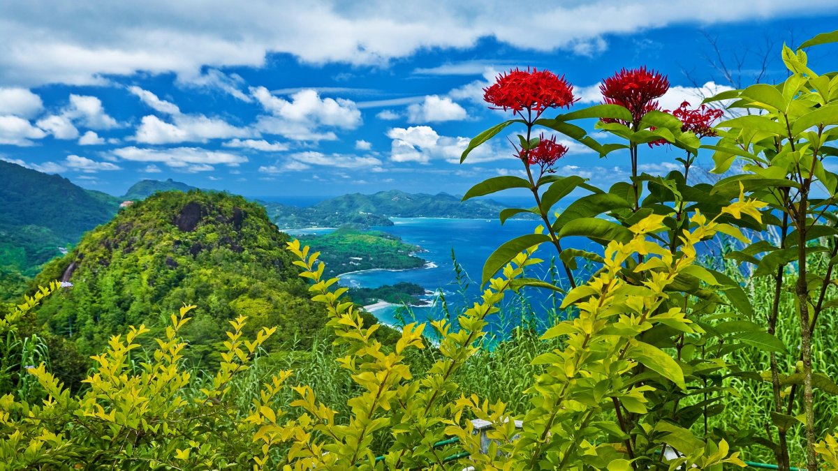 Лето природа