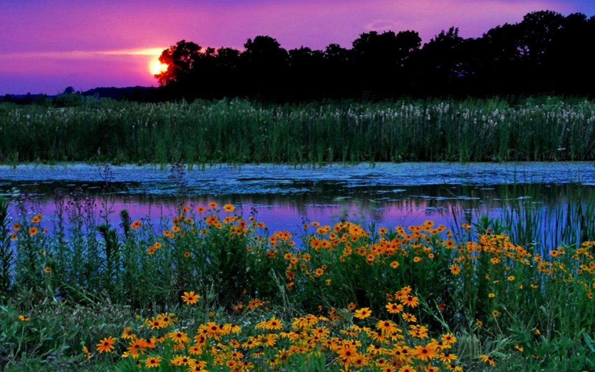 Красота вечерней природы