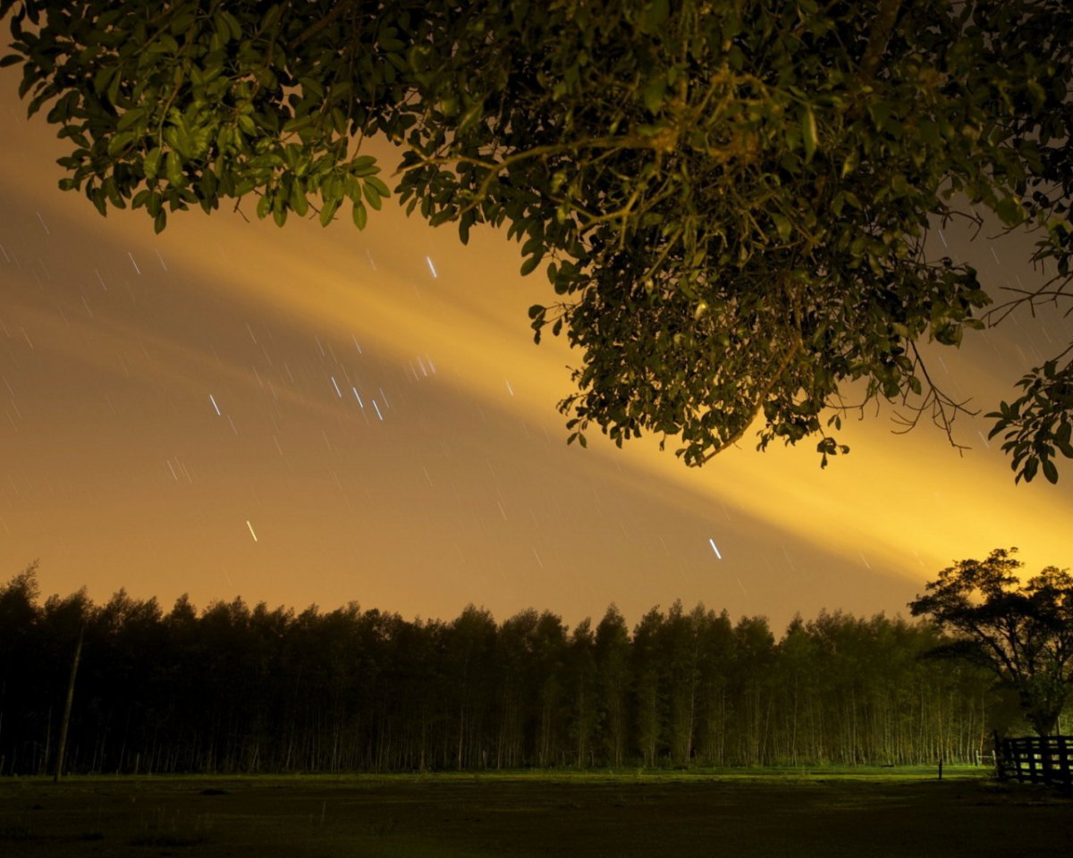 Природа ночью