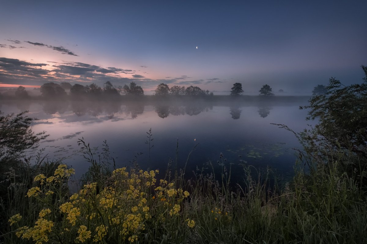 Летняя ночь