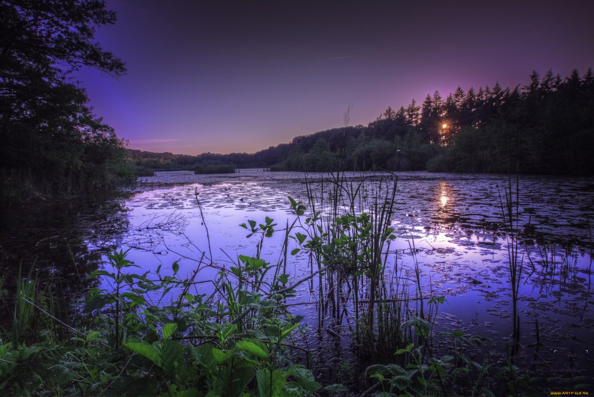 Вечер на реке