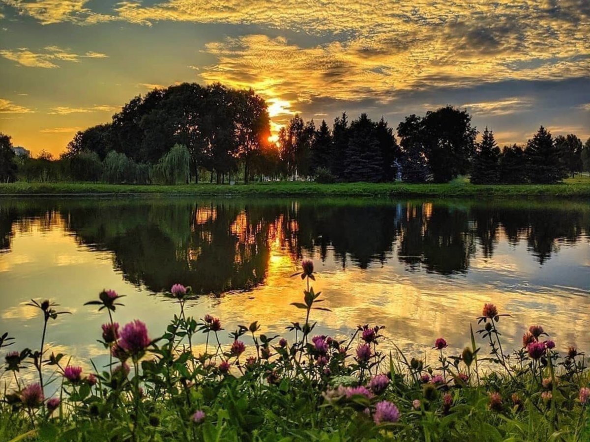 Природа вечер