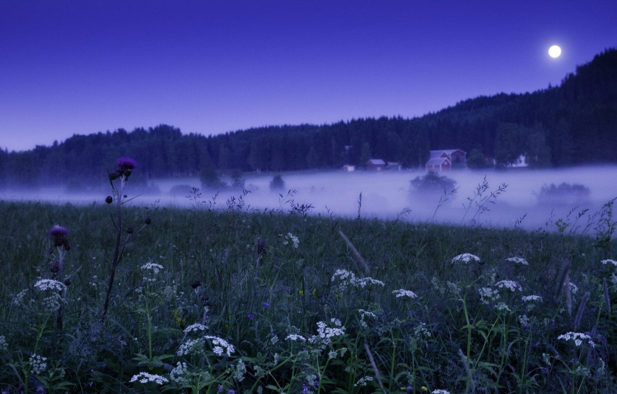 Ночь на Поляне