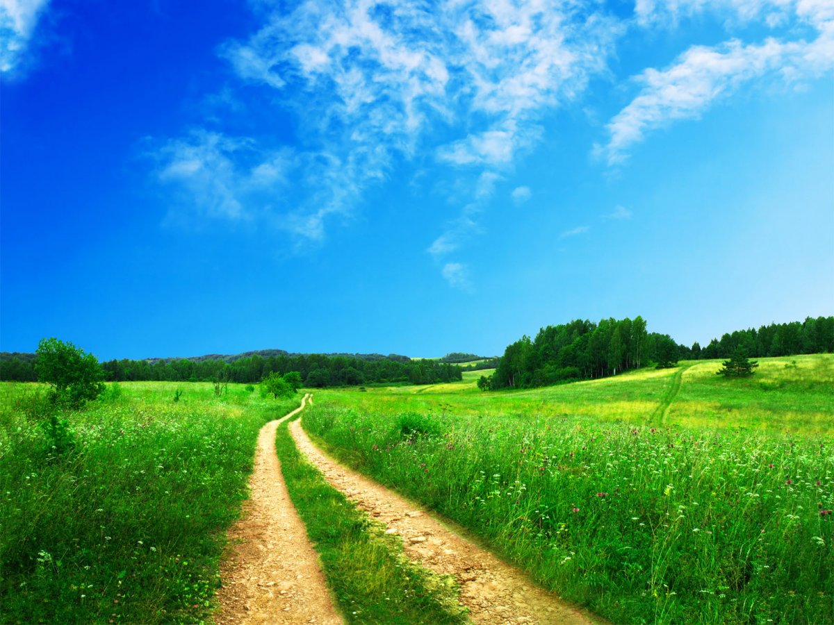 Лето природа