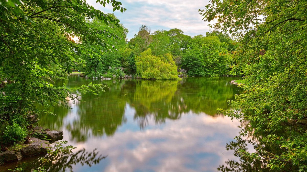 Природа река деревья