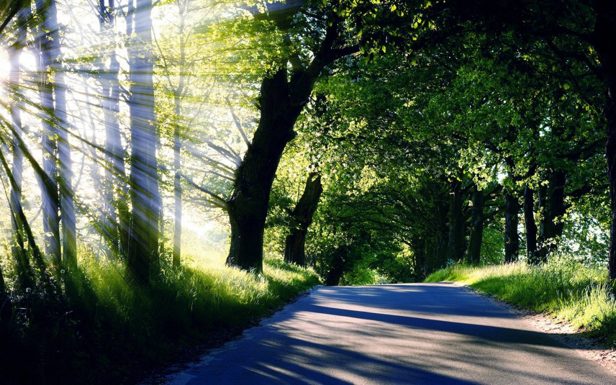 Красивый фон для фотошопа природа