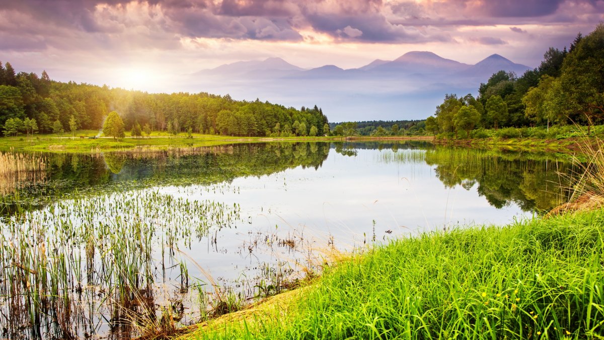 Природа озеро