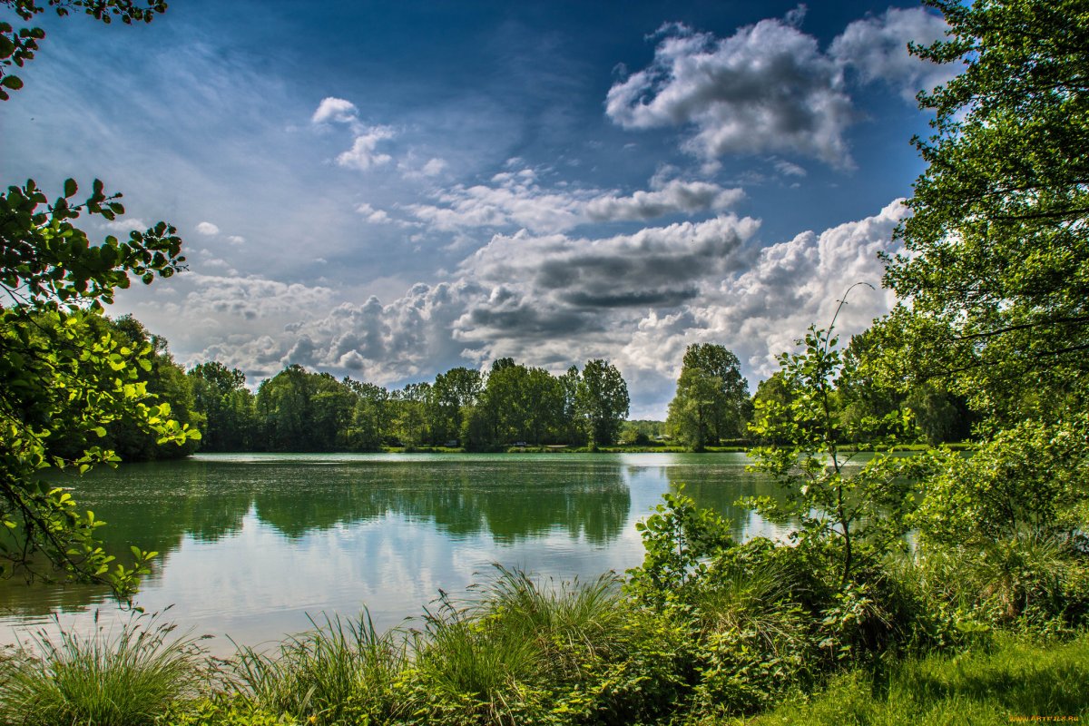 Пейзаж лето озеро