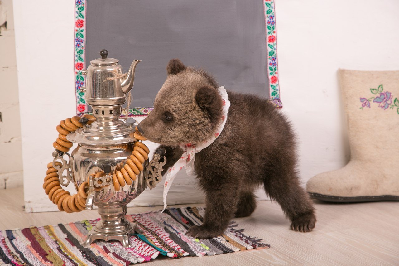 Включи мишки есть. Медведь с самоваром. Медведь с баранками. Медвежонок самовар. Медведь с чаем.