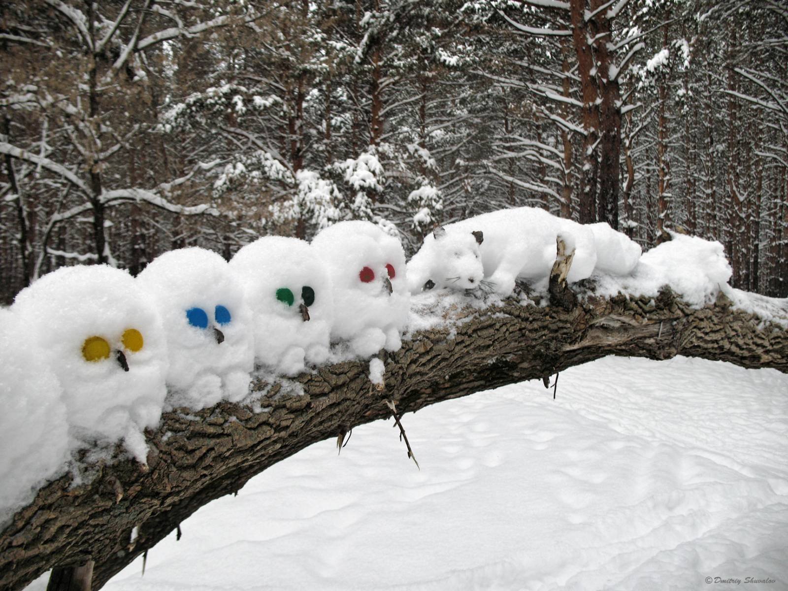 Весело со снегом. Снеговик в лесу. Снежные шапки на деревьях. Снеговик на дереве. Фигуры из снега на дереве.