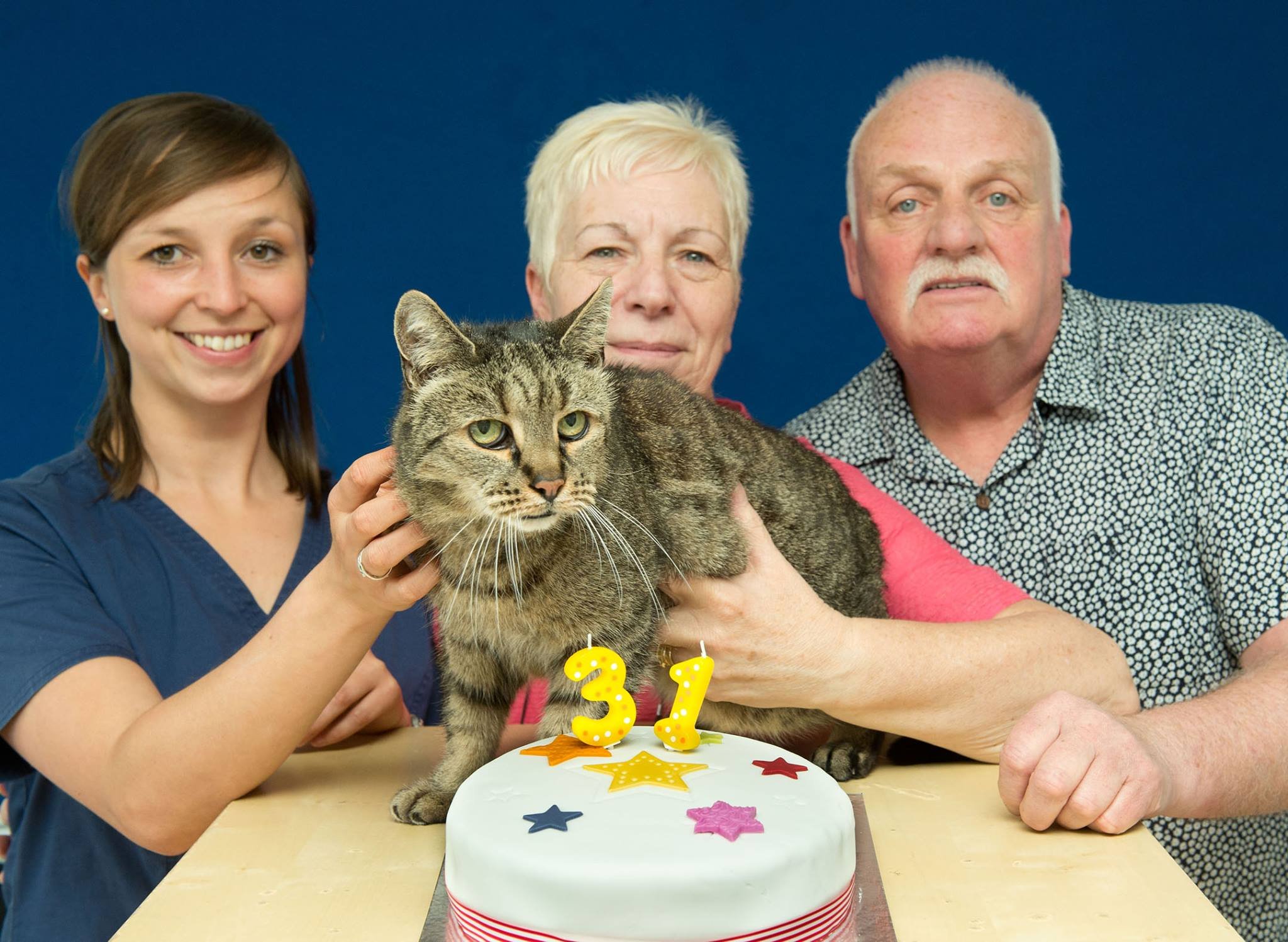 Книга рекордов котов. Крим Пафф кошка долгожитель. Самый старый кот в мире Крим Пафф. Кошка Люси долгожитель. Кот Натмег.
