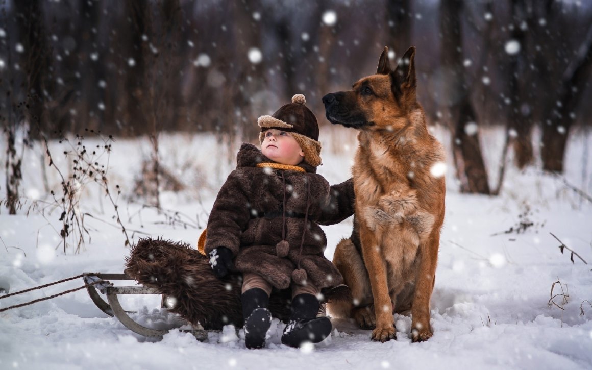 Человек собака зима