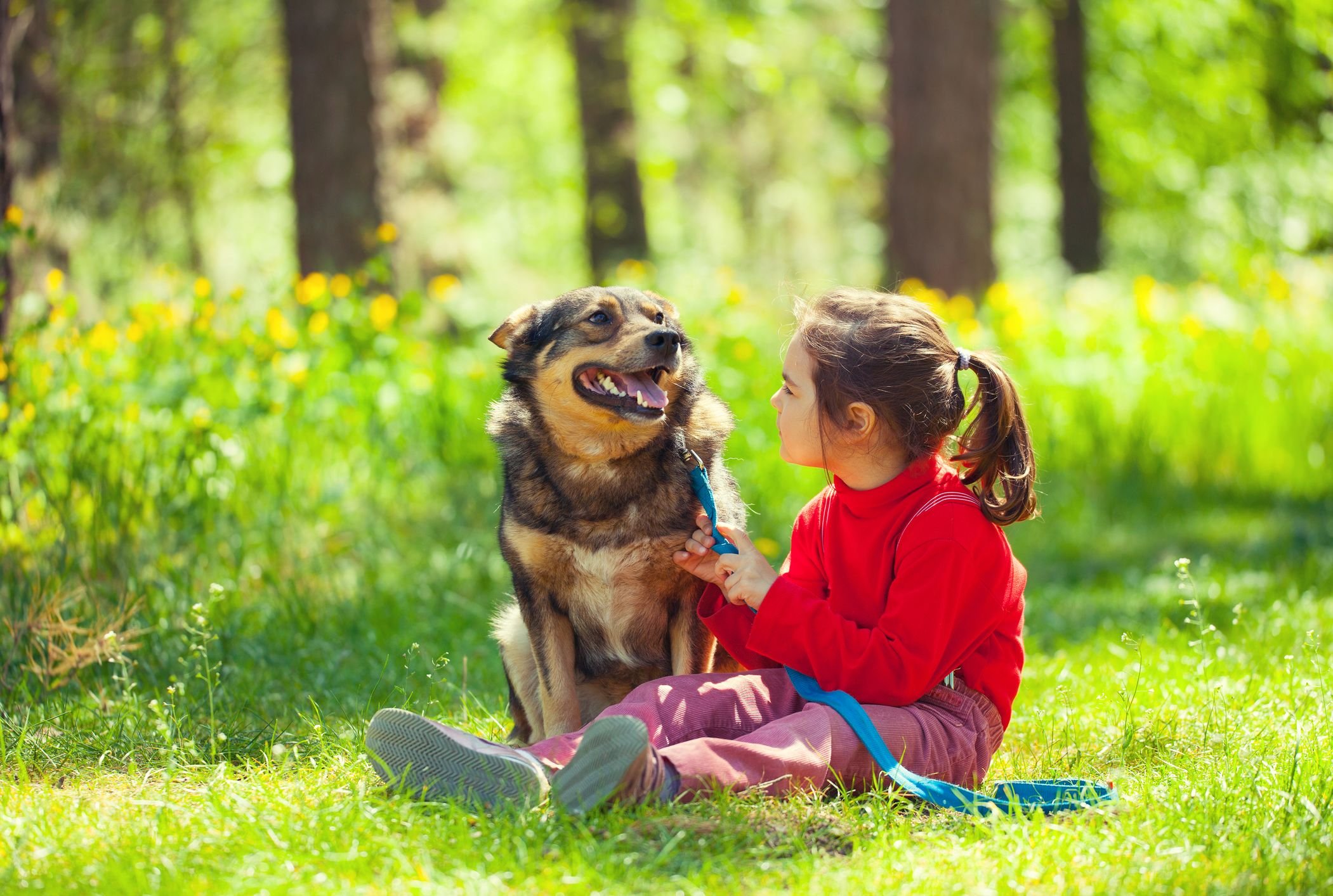 Воспитание детей животные. Собака для детей. Для детей. Животные. Дети с животными. Домашние животные и человек.