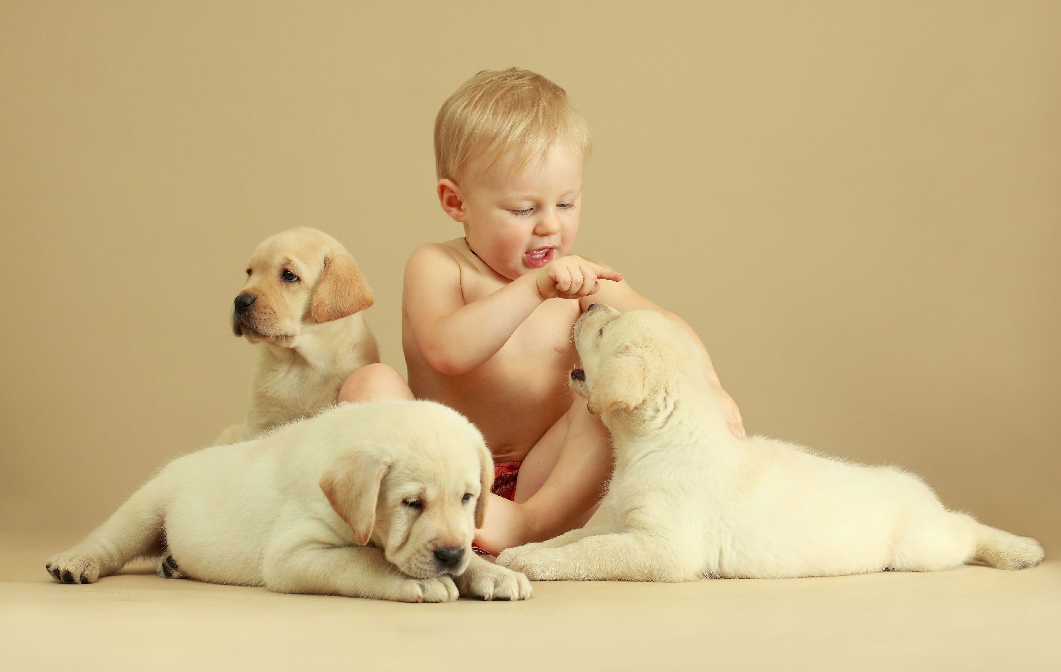 Собака лабрадор мальчик. Щенок лабрадора. Собака и младенец. Малыш щенок. Лабрадор и дети.