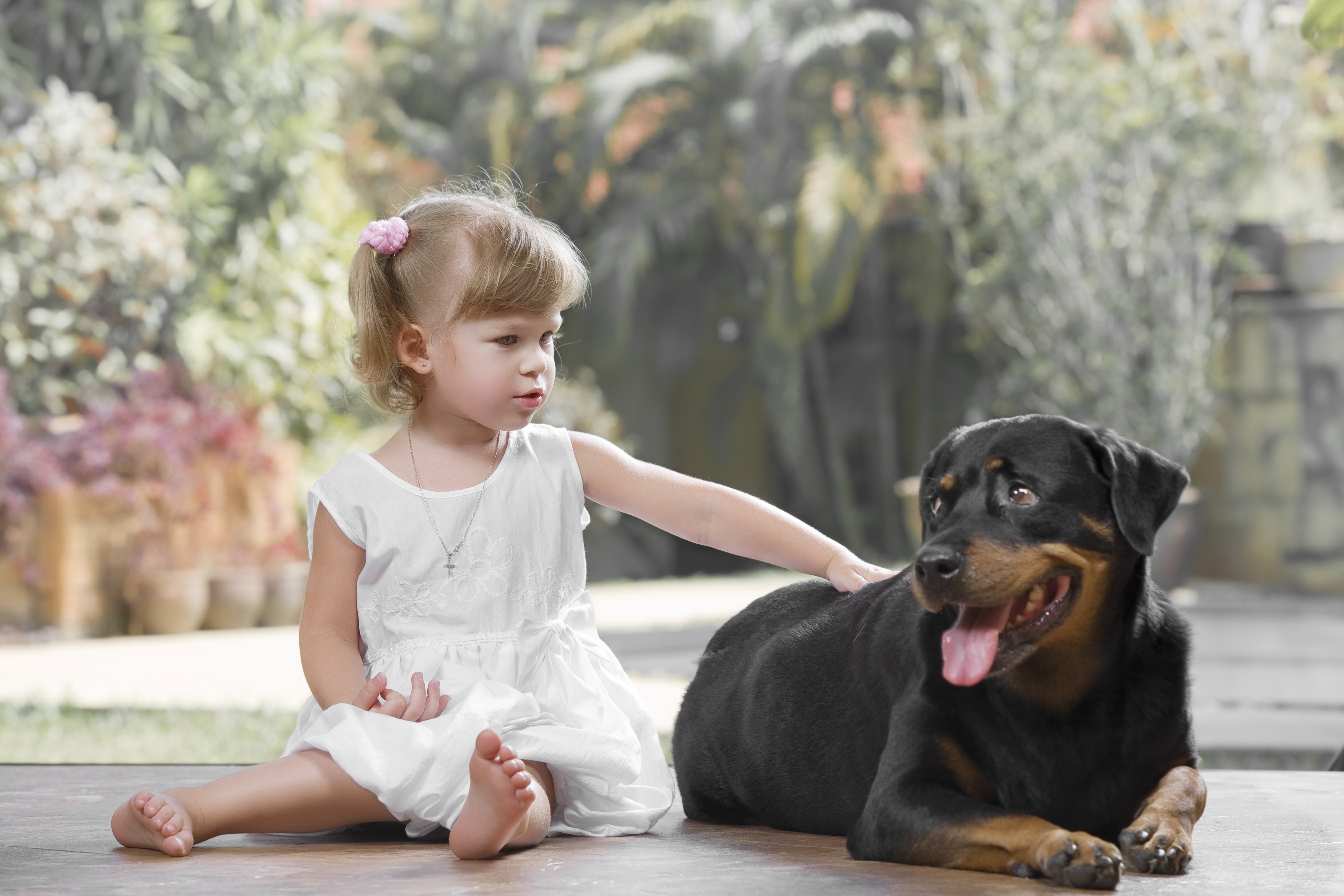 Животные дети просмотра. Домашние животные для детей. Девочка с собакой. Собака для детей. Девочка и щенок.