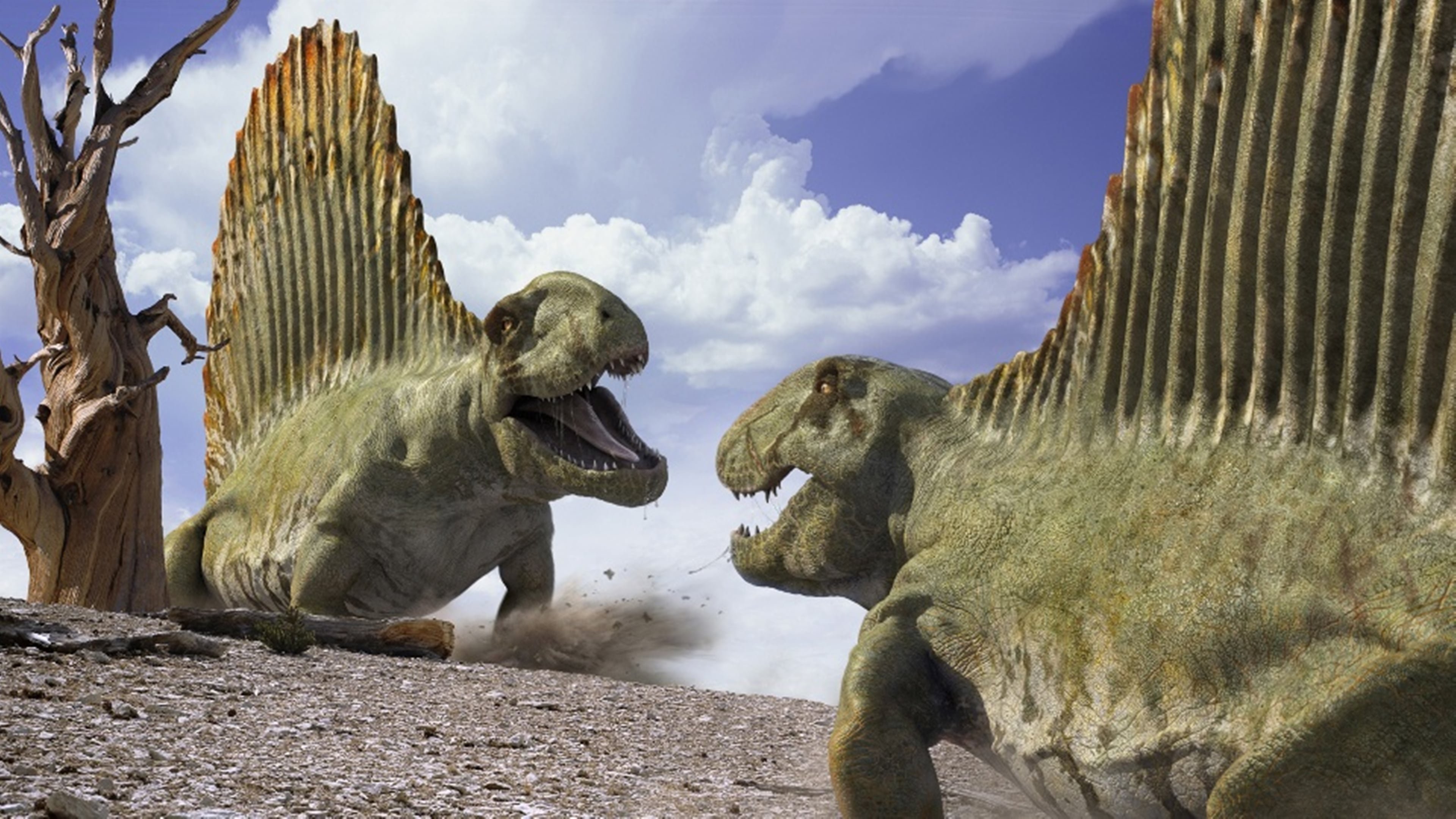 Познавательное видео про динозавров