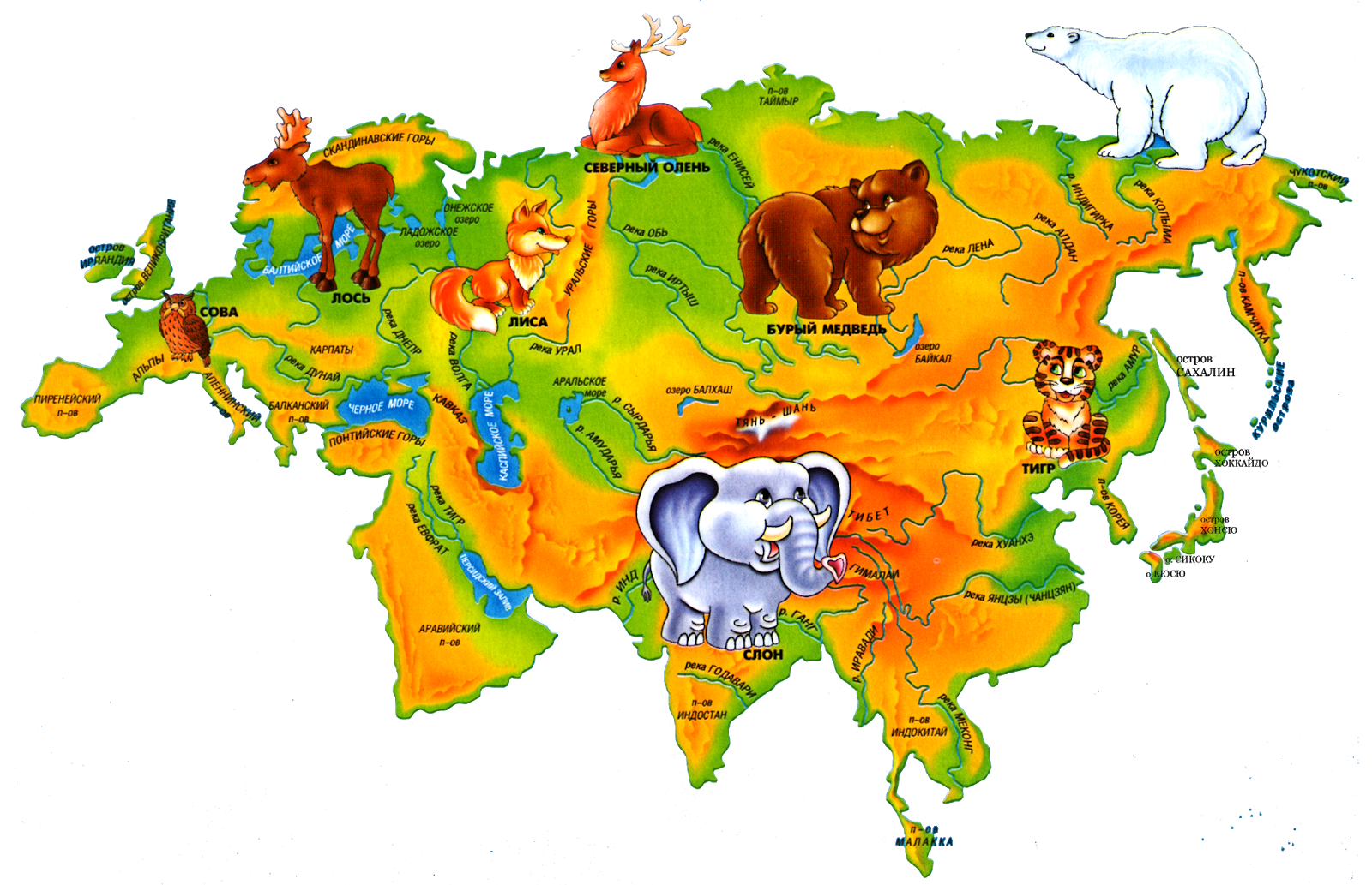 В каких районах обитаешь. Земля, материк Евразия,Россия. Картат материка Евразия. Материк Евразия на карте. Материк Евразия на карте для детей.