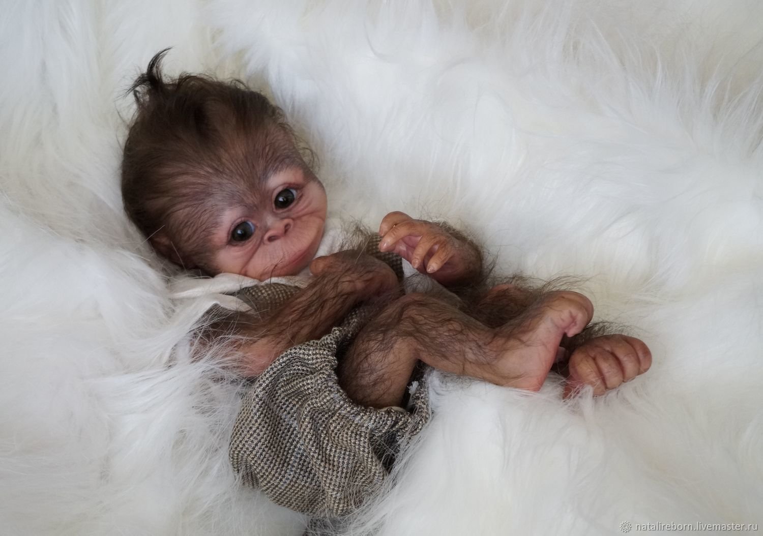 Купить маленькую домашнюю обезьянку недорого. Маленькая домашняя обезьянка. Кукла реборн обезьянка. Маленькая обезьянка Живая. Маленькая ручная обезьянка.
