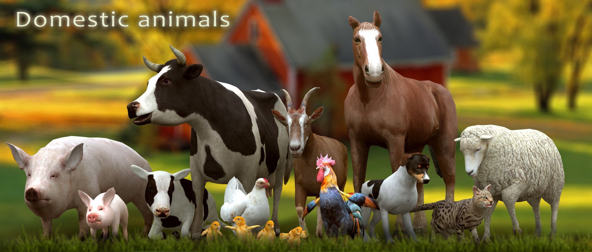 Лошади коровы и куры. Сельскохозяйственные животные. Животные на ферме. СХ животные. Сельские животные.
