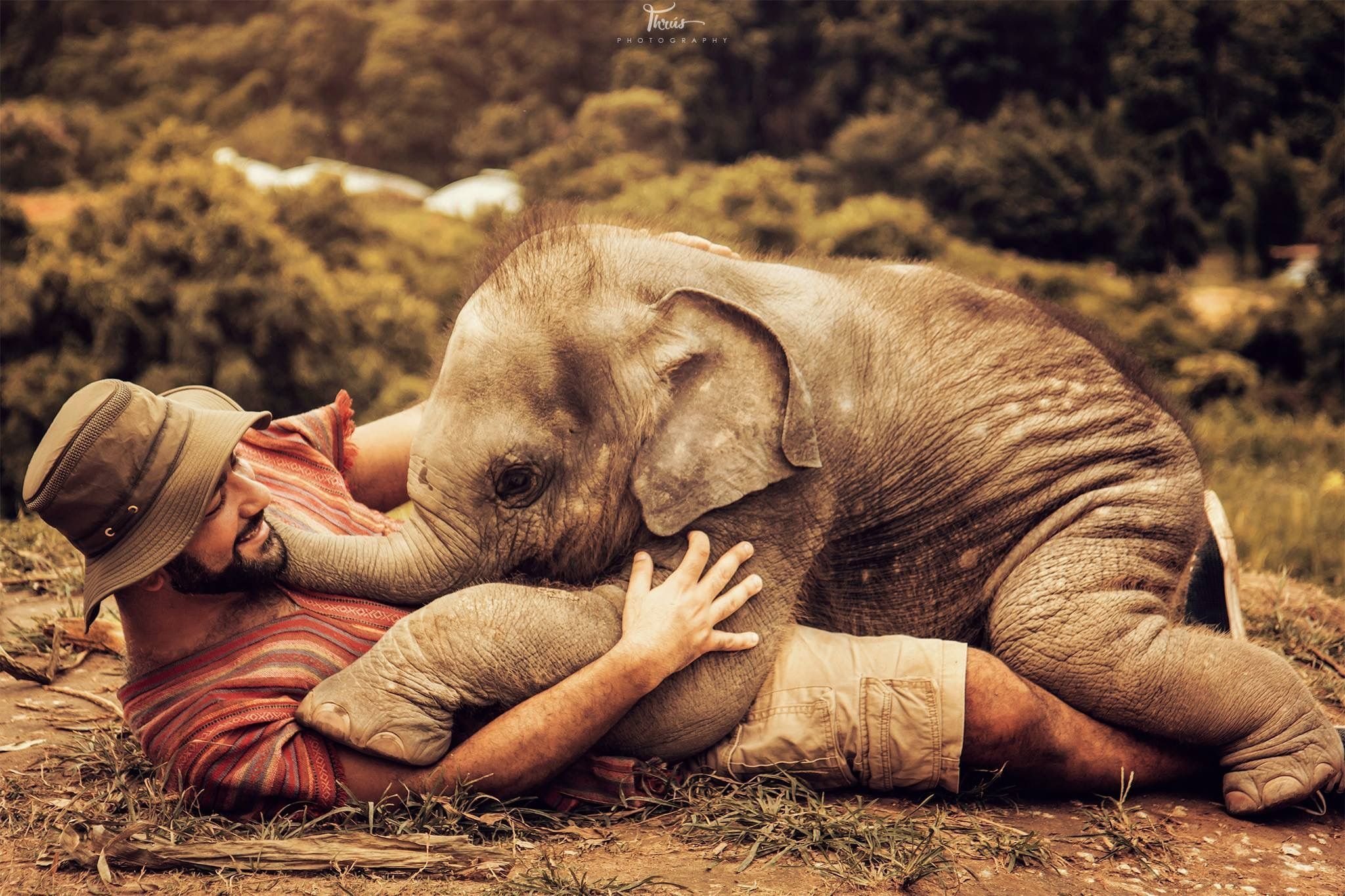 Я и мой слон. Слоненок. Маленький Слоненок. Смешные слоны. Слон милый.