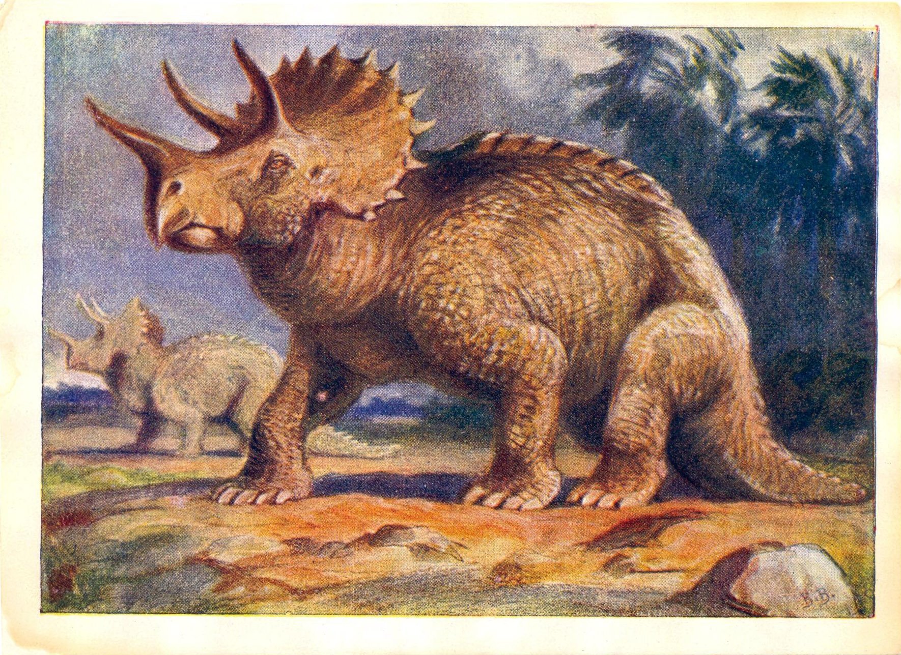 Вымерший ящер. Трицератопс Эра. Ящер Трицератопс. Трицератопс динозавры мелового периода.