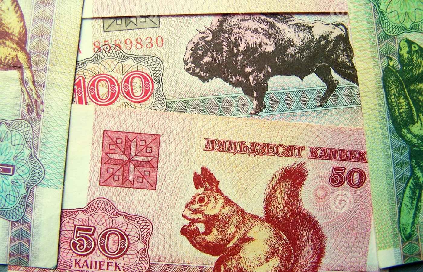 Дай денег беларусь. Белорусские зайчики. Белорусские банкноты с животными. 500 Белорусских зайчиков. Белорусские деньги с животными фото.