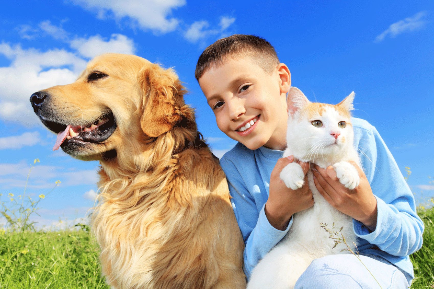 Выбираем домашнего питомца. Домашние животные для детей. Мальчик с собакой. Домашние животные и человек. Люди с домашними животными.